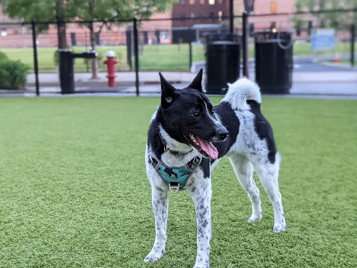 108 First Street Dog Park 2