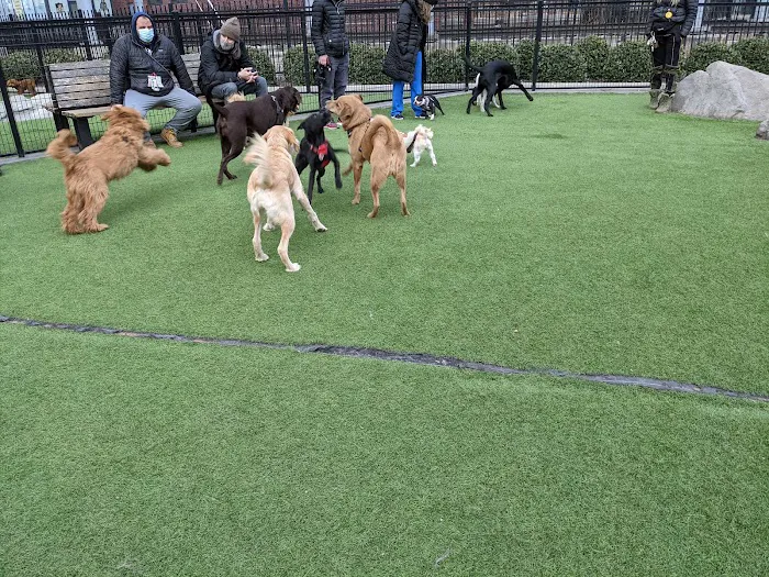 108 First Street Dog Park 3