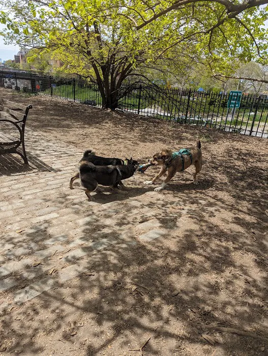 Cobble Hill Dog Park 8