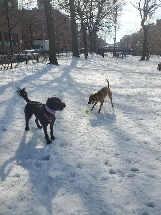 Cobble Hill Dog Park 9