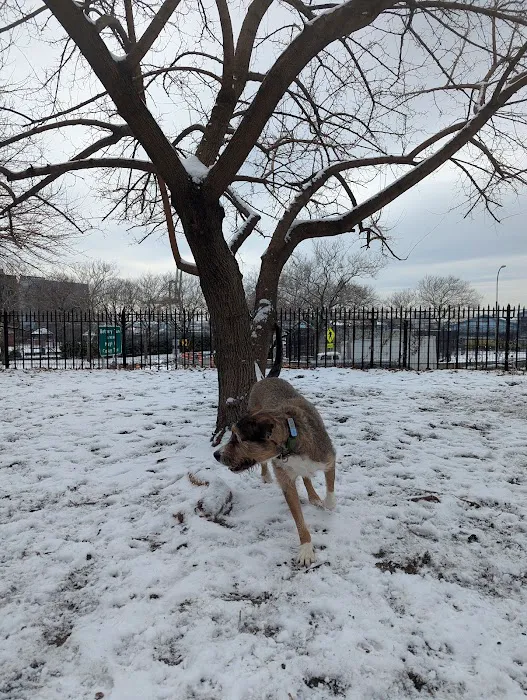 Cobble Hill Dog Park 3