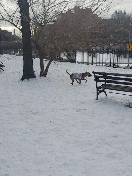 Cobble Hill Dog Park 10