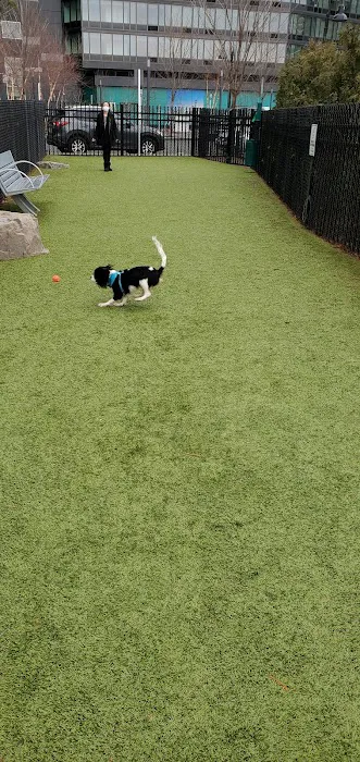 VYV Dog Park 1