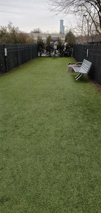 VYV Dog Park 2