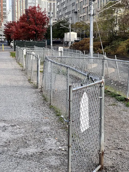 Dog Run 1
