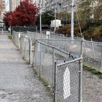 Dog Run ico