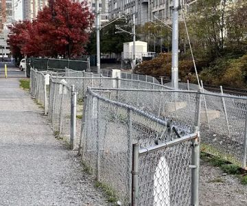 Dog Run