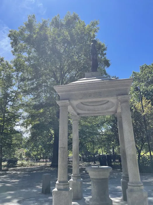 Tompkins Square Dog Run 2