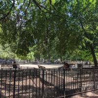 Tompkins Square Dog Run ico