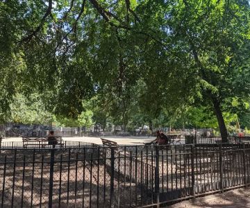 Tompkins Square Dog Run