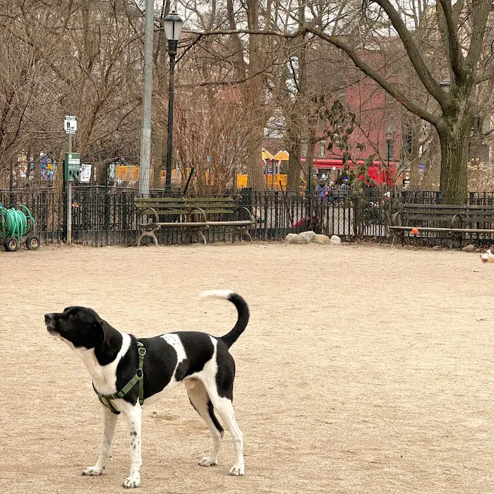 Tompkins Square Dog Run 7