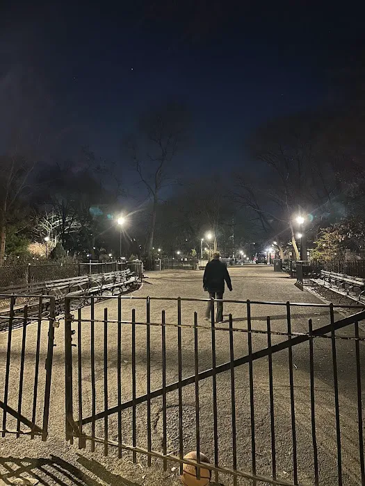 Tompkins Square Dog Run 6