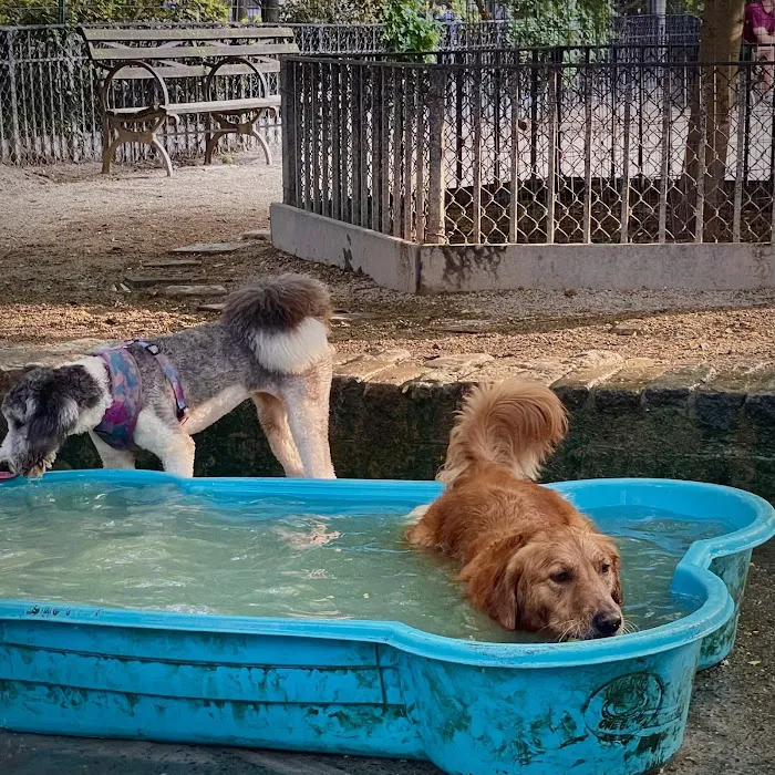 Tompkins Square Dog Run 4