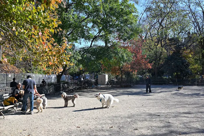 Tompkins Square Dog Run 10