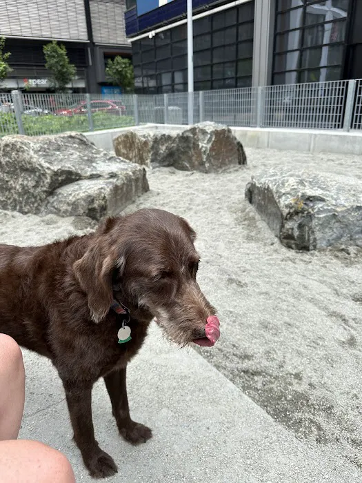 Abolitionist Place Dog Park 3