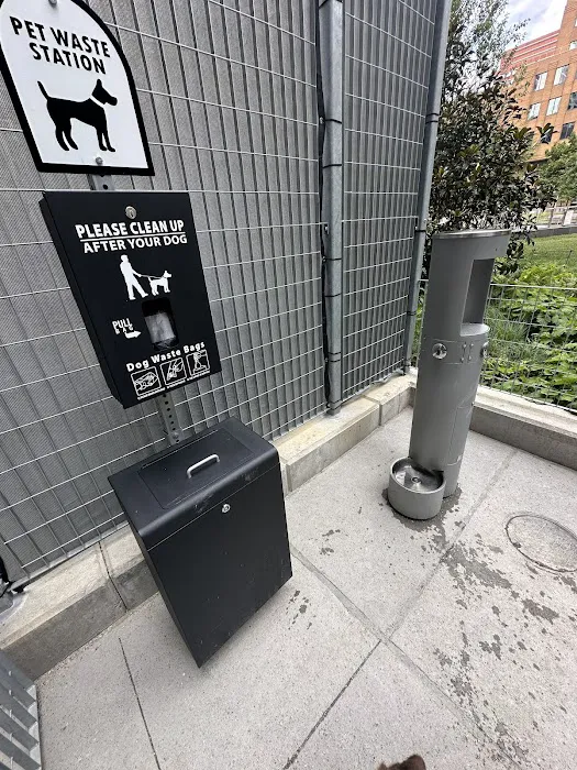 Abolitionist Place Dog Park 4