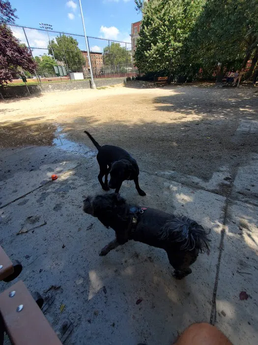 DiMattina Dog Run 5