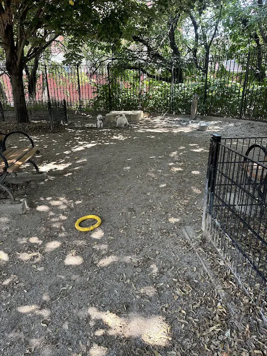 DiMattina Dog Run 4