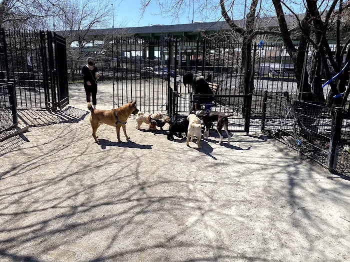 DiMattina Dog Run 1