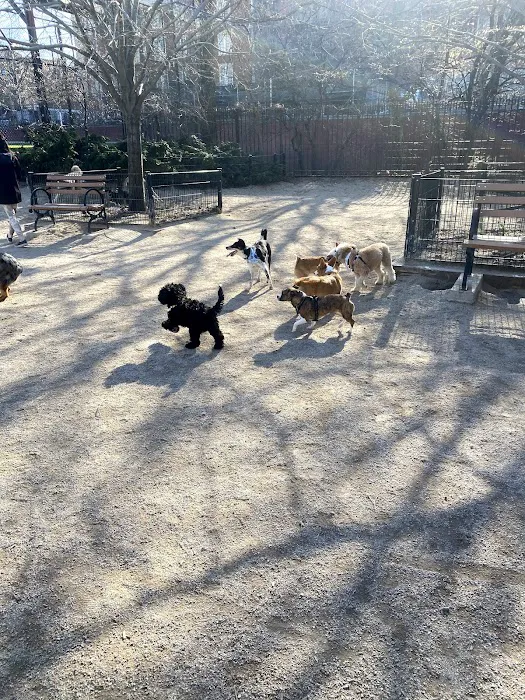 DiMattina Dog Run 10