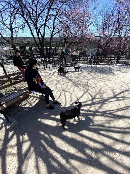 DiMattina Dog Run 9