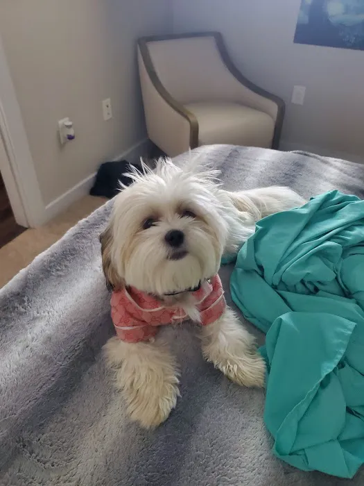 Petco 10