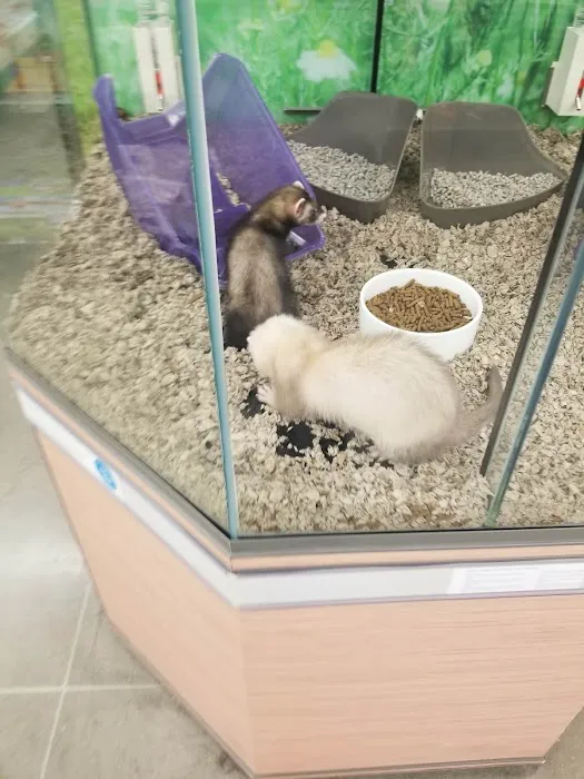 Petco 6