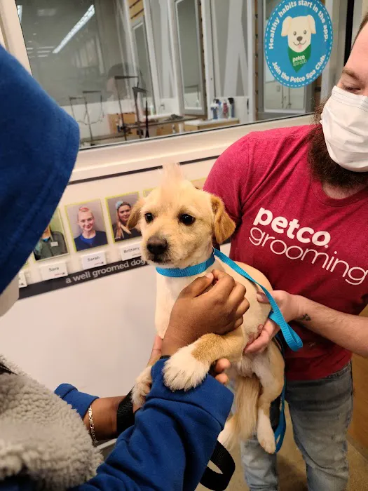 Petco 1