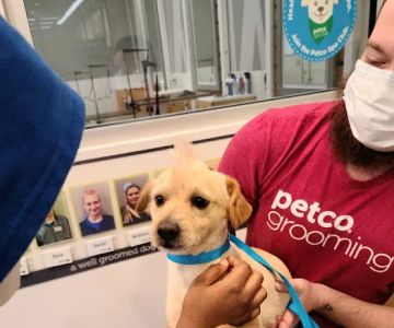 Petco