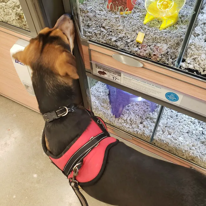 Petco 8