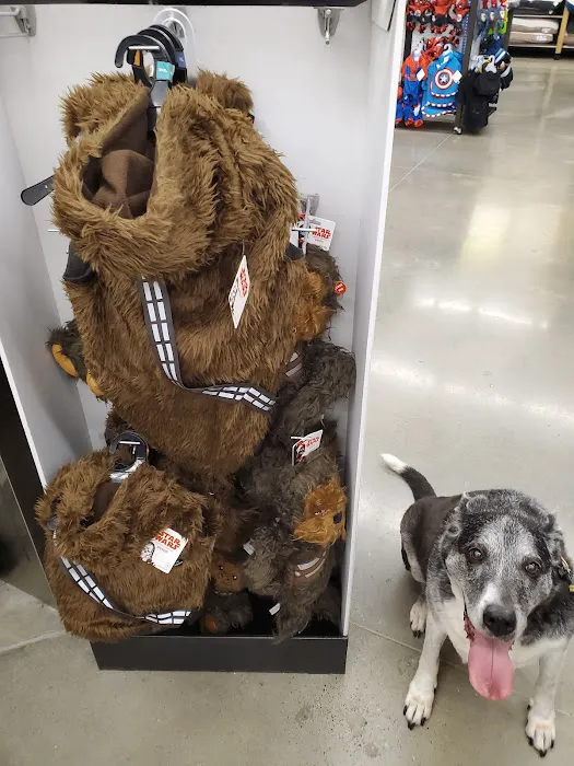 Petco 3