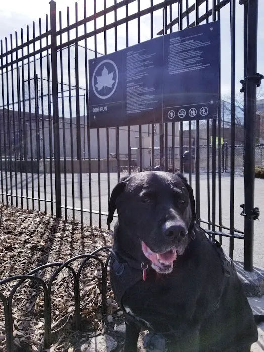 Washington Park Dog Run 5