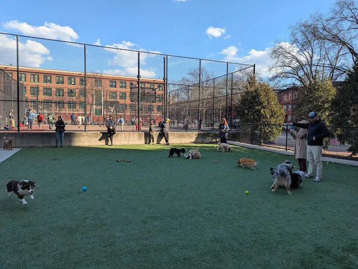 Washington Park Dog Run 6