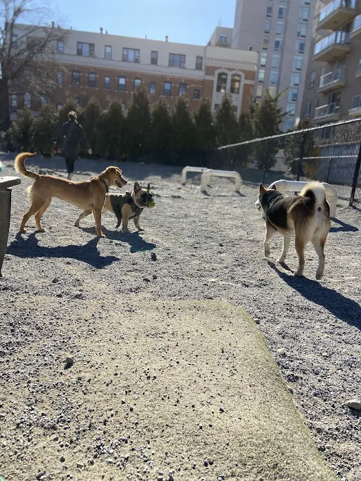 Washington Park Dog Run 2
