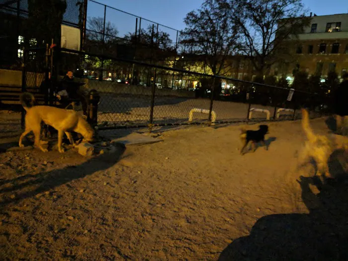 Washington Park Dog Run 4