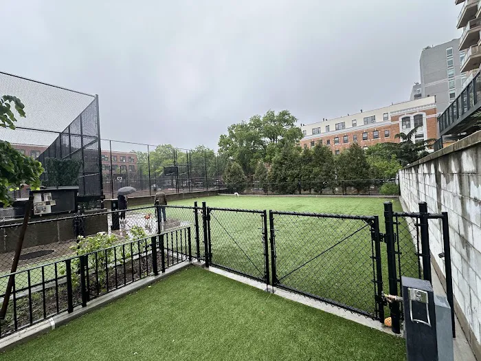 Washington Park Dog Run 1