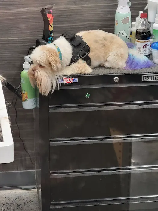 Pet Supplies Plus Charlotte - Elizabeth 4