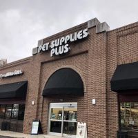 Pet Supplies Plus Charlotte - Elizabeth ico