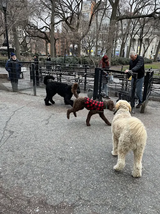 Union Square Dog Run 2