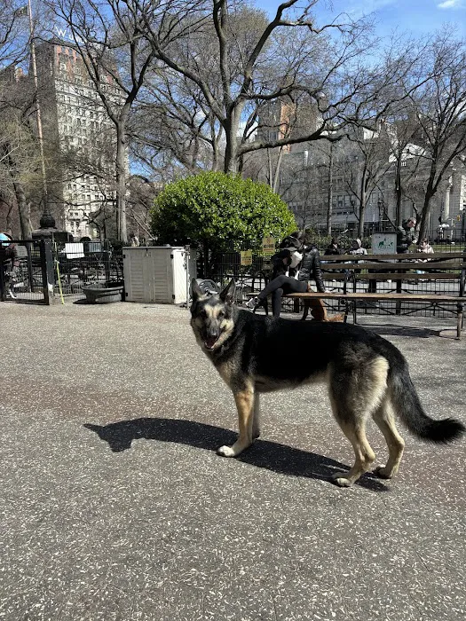 Union Square Dog Run 7
