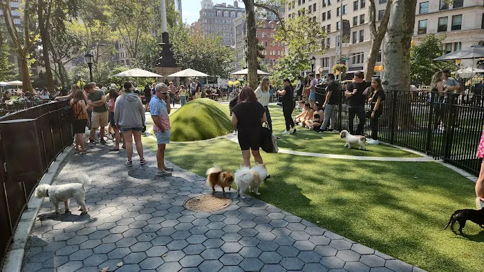 Union Square Dog Run 10