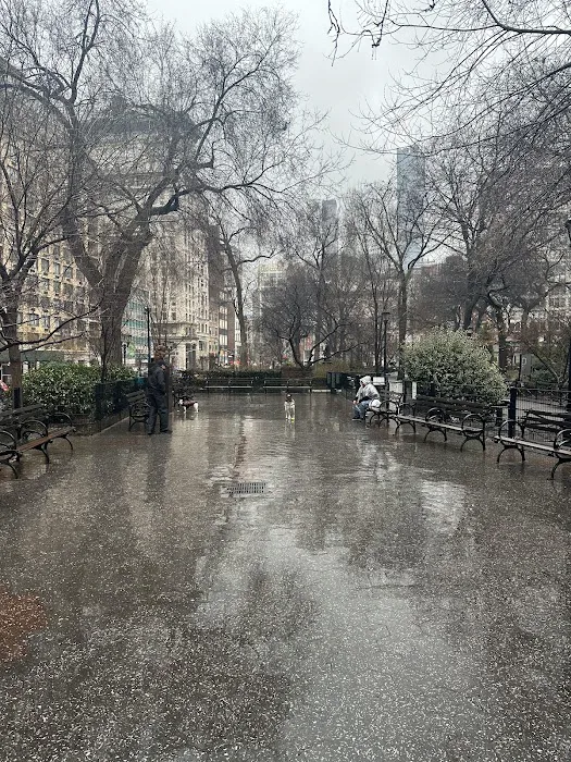 Union Square Dog Run 9