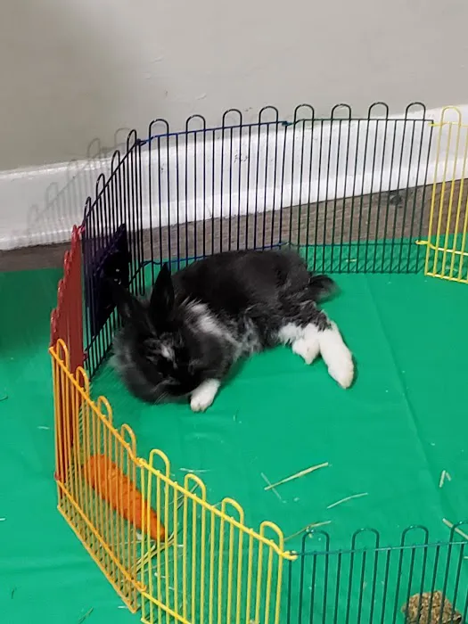 Pet Supermarket 3