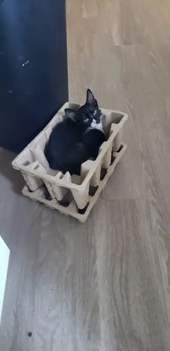 Pet Supermarket 8