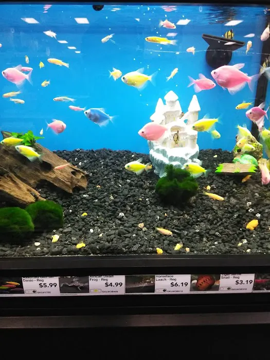 Pet Supermarket 4