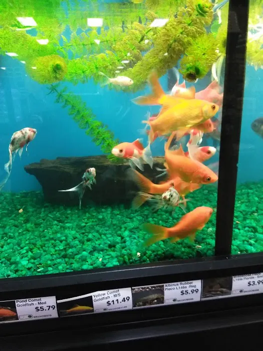 Pet Supermarket 6