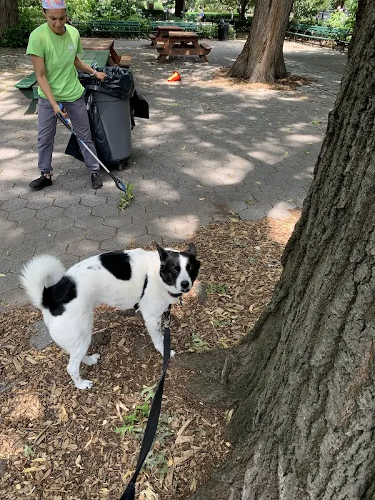 Stuyvesant Park Dog Run 10