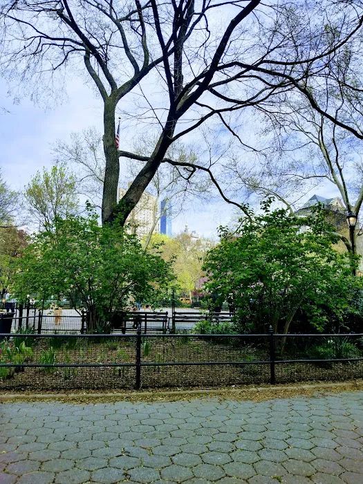 Stuyvesant Park Dog Run 8