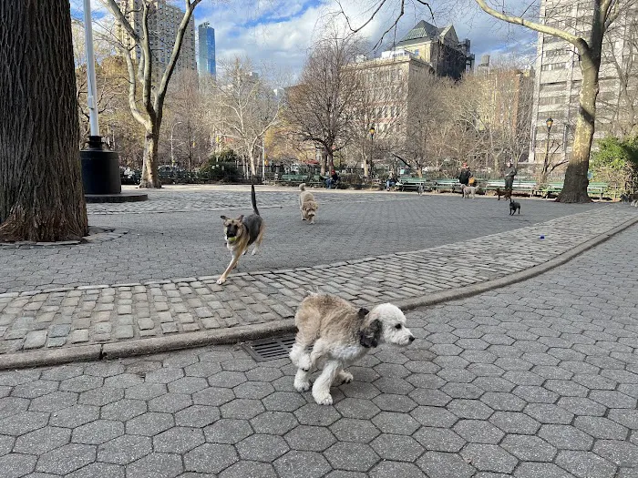 Stuyvesant Park Dog Run 3