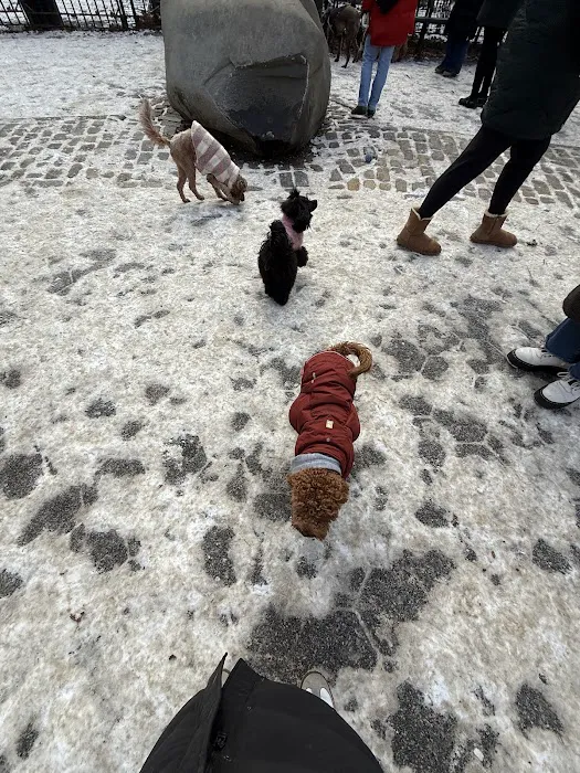 Stuyvesant Park Dog Run 6